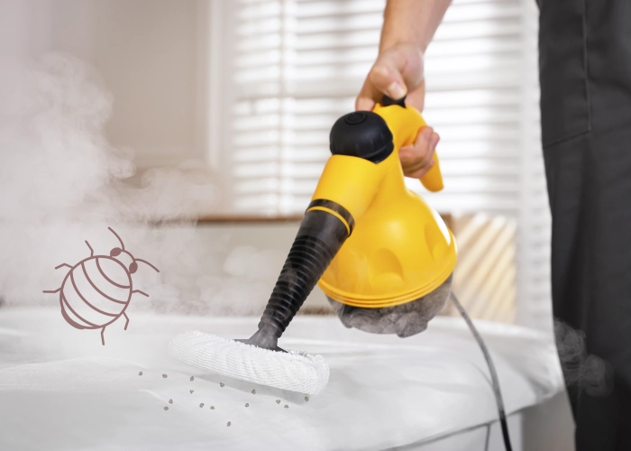 Tratamiento contra chinches en León 24009